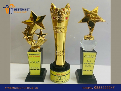 Đặt cúp cờ tướng kim loại