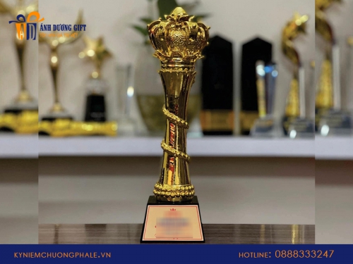 Đặt cúp kim loại khen thưởng học sinh giỏi