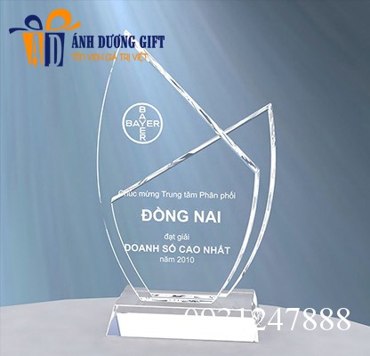 Kỷ niệm chương pha lê KNC00A56