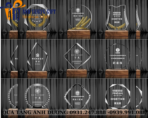 Kỷ niệm chương A 73