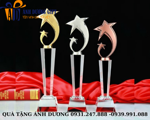 Cúp kim loại 008