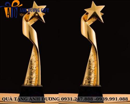 Cúp kim loại 005