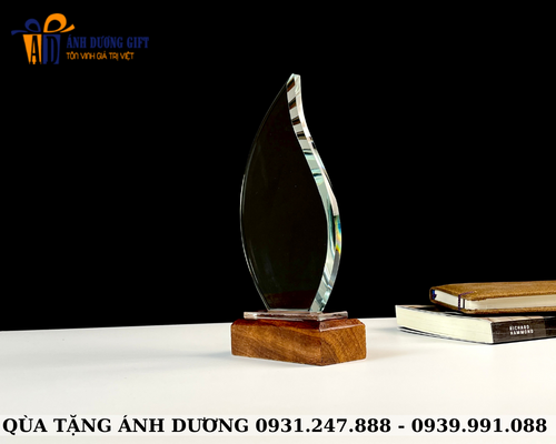 KỶ NIỆM CHƯƠNG KNC133