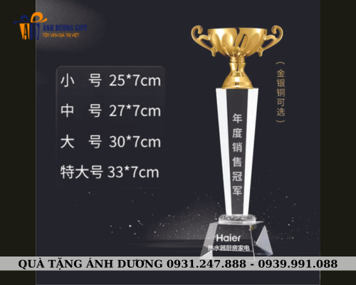 Cúp kim loại 011