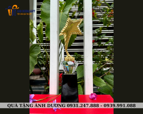 Cúp kim loại 013