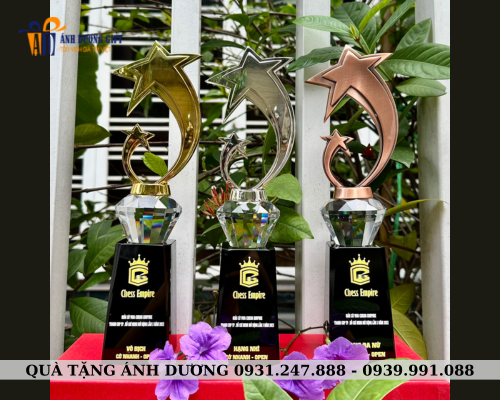 Cúp kim loại 014