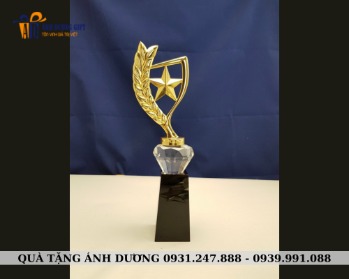 Cúp kim loại 016