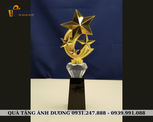 Cúp kim loại 019