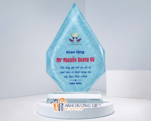 KỶ NIỆM CHƯƠNG KNC233